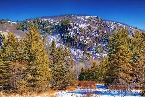Gatineau Hills Snowscape_14677.jpg - Photographed at Pontiac, Quebec, Canada.
